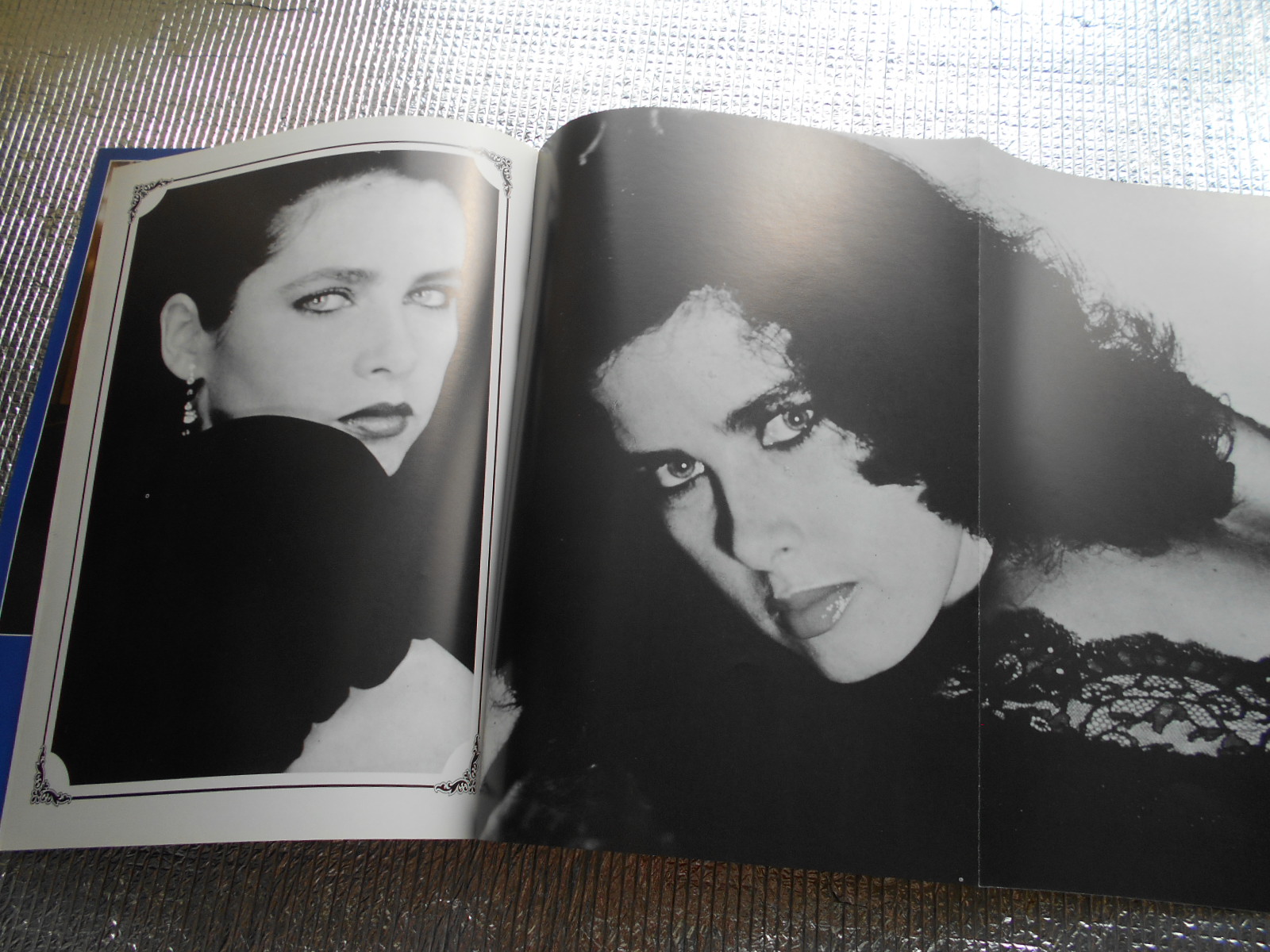 MADAME CLAUDE Movie Program Japan USED Dayle Haddon ...